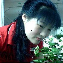 唅羞草视频,揭秘神秘植物的视频之旅